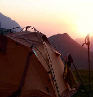Poled Tents